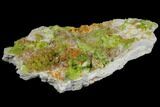 Vibrant Green Pyromorphite Crystal Cluster - China #132759-1